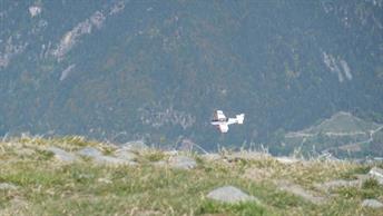 31 Ca c'est pas un parapente... 31 Ca c'est pas un parapente...